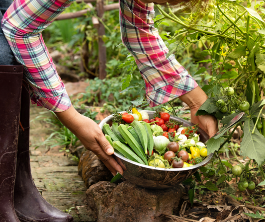 Healthy Soil, Healthy Food: The Vital Role of Soil Amendments