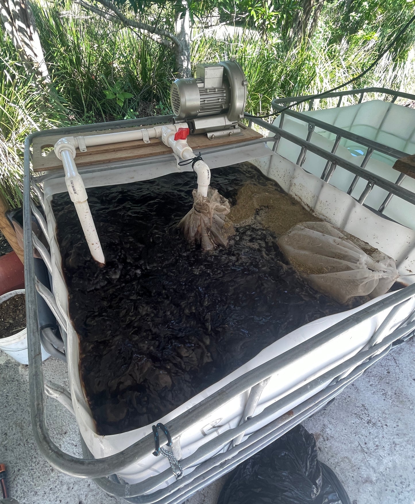 Johnson-Su Compost Extract