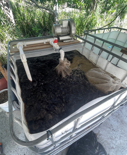 Johnson-Su Compost Extract